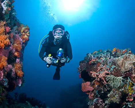Duiken in het Great Barrier Reef