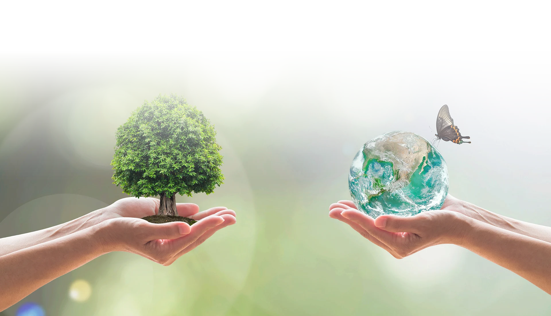 Onze gewoontes veranderen om de biodiversiteit te beschermen 